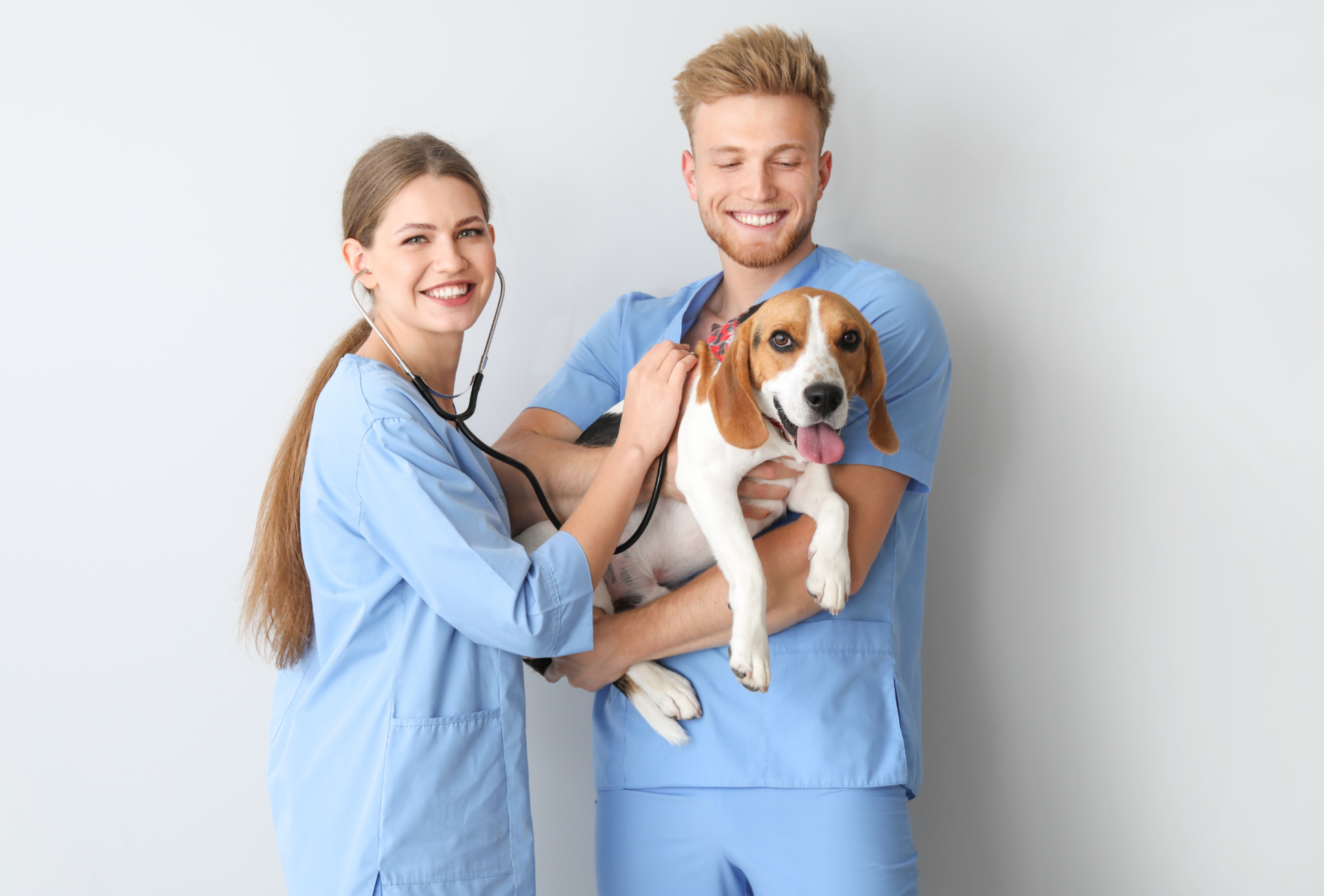 Curso de auxiliar de veterinaria